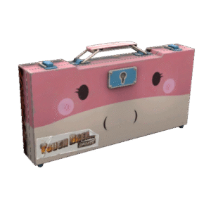 Pyroland Weapons Case