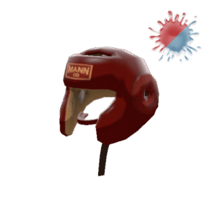 Unusual Pugilist's Protector