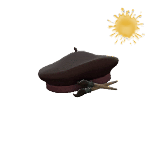 Unusual Frenchman's Beret