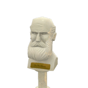 Collector's Solemn Vow