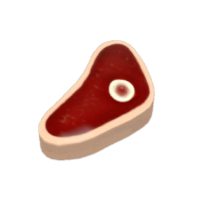 Collector's Buffalo Steak Sandvich