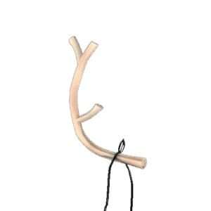 Collector's Prancer's Pride