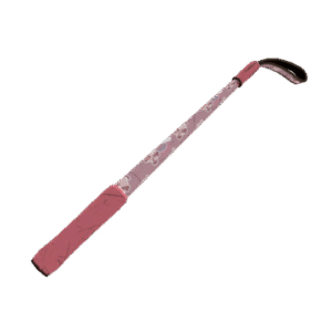 Dream Piped Disciplinary Action (Field-Tested)