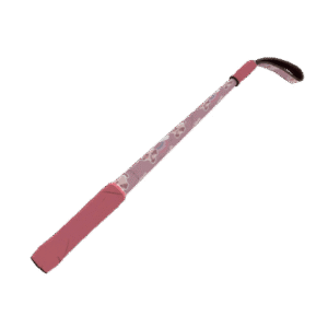 Dream Piped Disciplinary Action