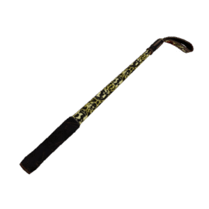 Electroshocked Disciplinary Action