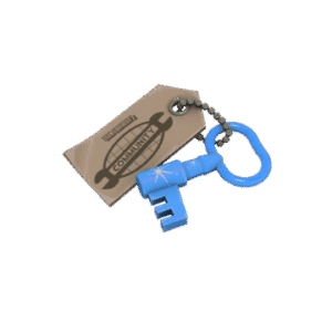 Blue Moon Cosmetic Key