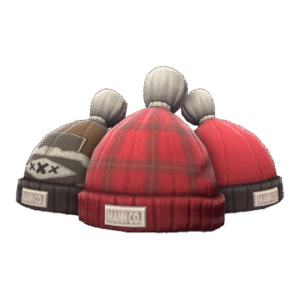 Boarder's Beanie