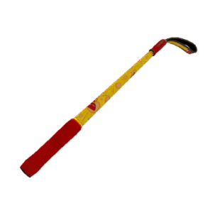 Bonk Varnished Disciplinary Action (Field-Tested)